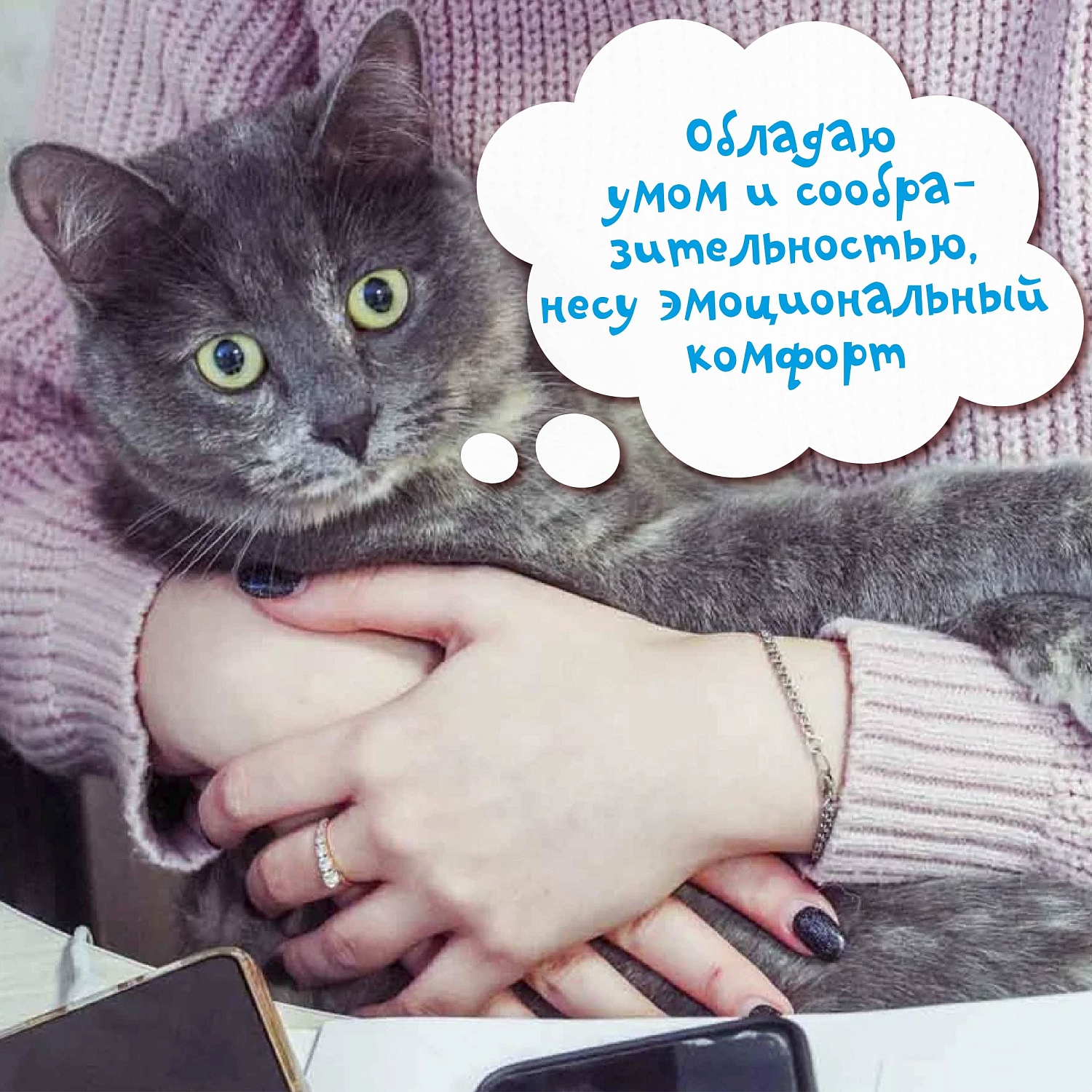  Знакомитесь - наша новая сотрудница корпоративный кото-психолог Мирослава!